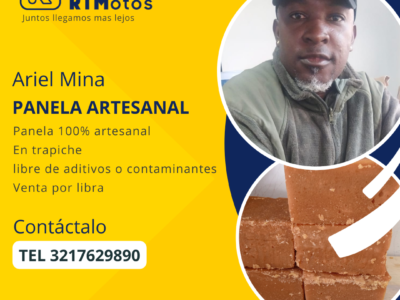 PANELA ARTESANAL